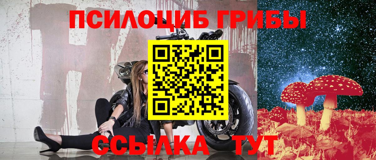 Нефтеюганск  магазин    Вход с VPN  Псилоцибиновые грибы Psilocybine cubensis 